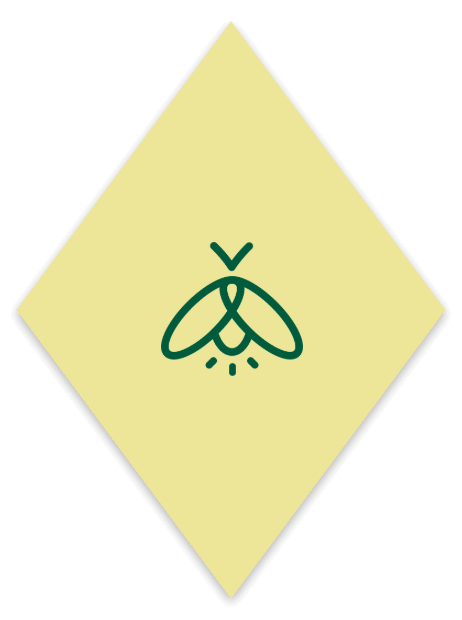 聚焦四大创新，赋能多领域能源管理